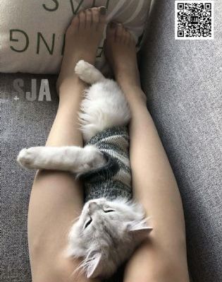 小草社区视频在线观看_HD视频大全
