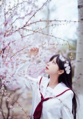 快乐大本营2010免费观看完整版_剧情片天堂在线